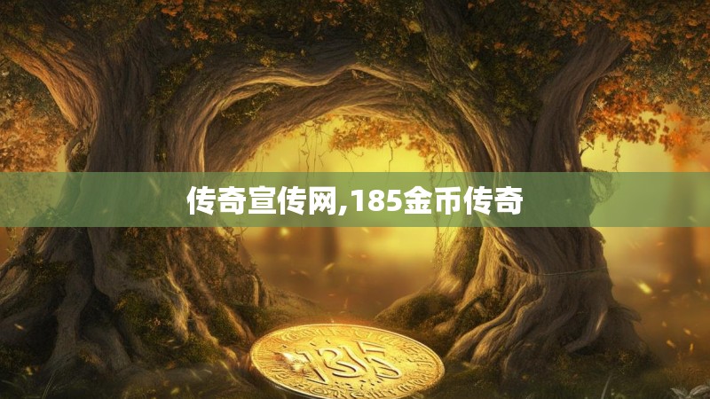 传奇宣传网,185金币传奇 传奇宣传网,185金币传奇