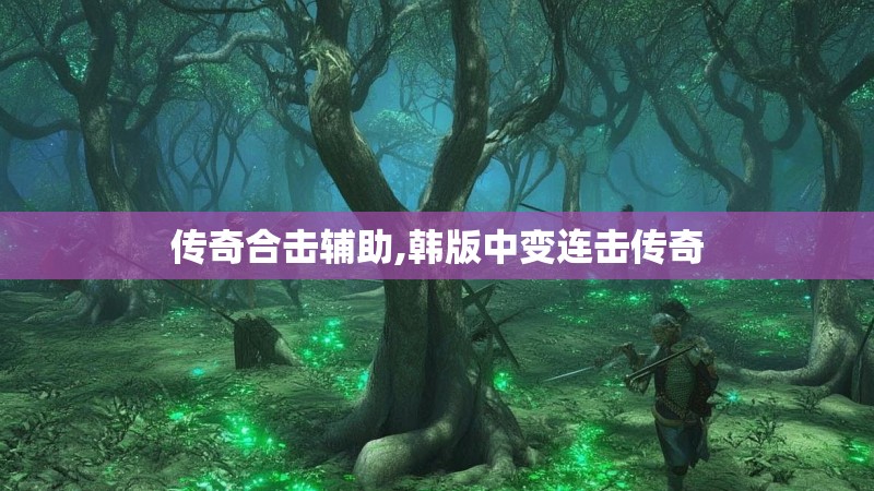 传奇合击辅助,韩版中变连击传奇 传奇合击辅助,韩版中变连击传奇