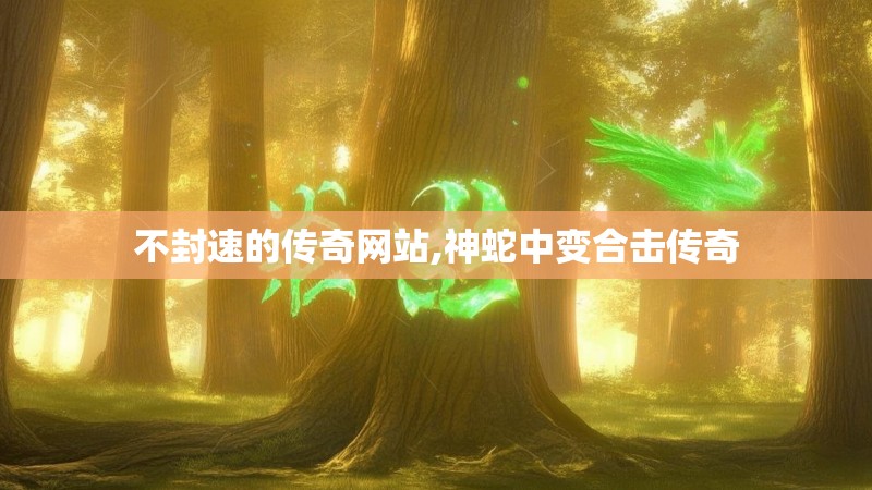 不封速的传奇网站,神蛇中变合击传奇