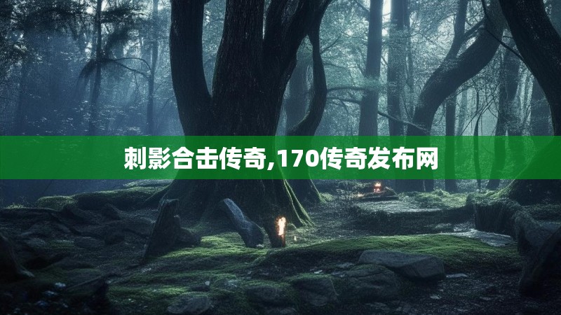 刺影合击传奇,170传奇发布网 刺影合击传奇,170传奇发布网