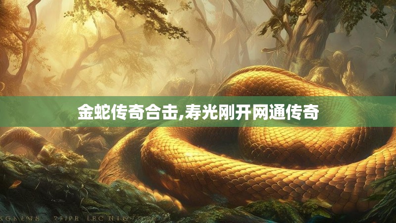 金蛇传奇合击,寿光刚开网通传奇 金蛇传奇合击,寿光刚开网通传奇