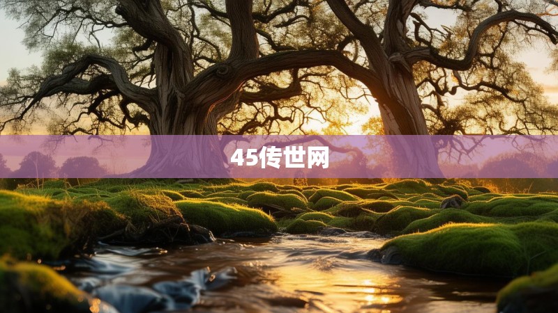 45传世网 45传世网
