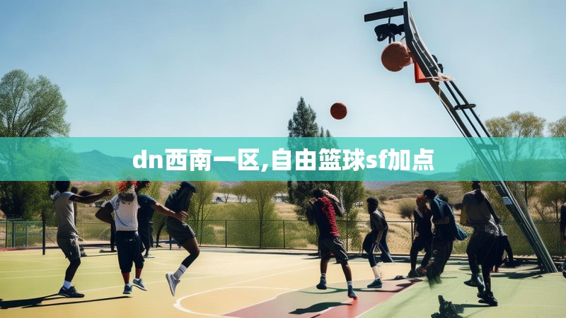dn西南一区,自由篮球sf加点 dn西南一区,自由篮球sf加点