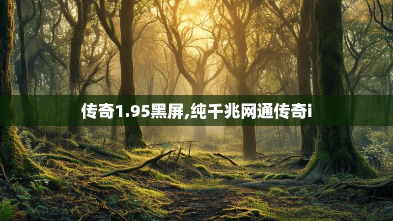 传奇1.95黑屏,纯千兆网通传奇i 传奇1.95黑屏,纯千兆网通传奇i