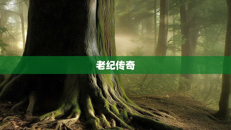 老纪传奇