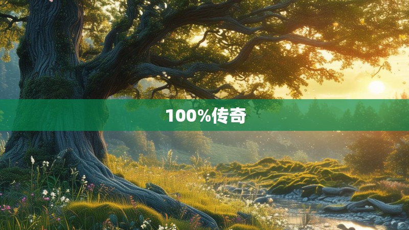 100%传奇 100%传奇