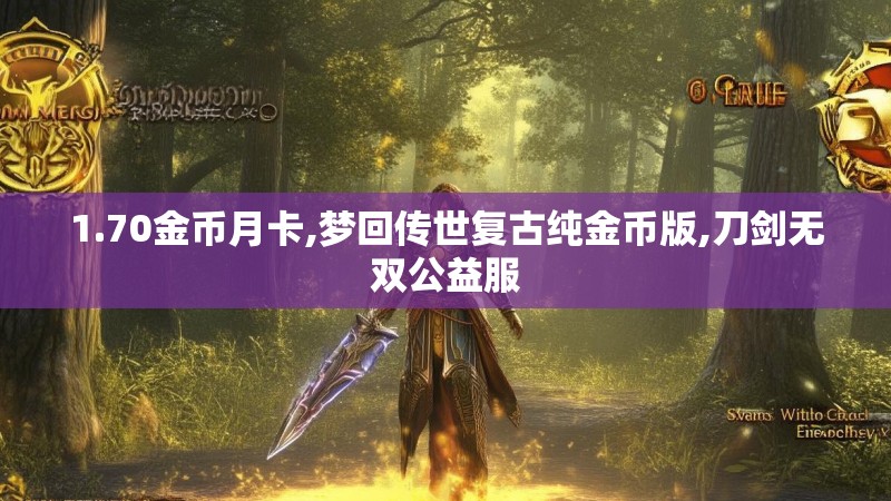 1.70金币月卡,梦回传世复古纯金币版,刀剑无双公益服