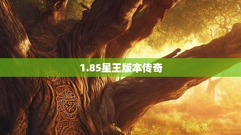 1.85星王版本传奇 1.85星王版本传奇