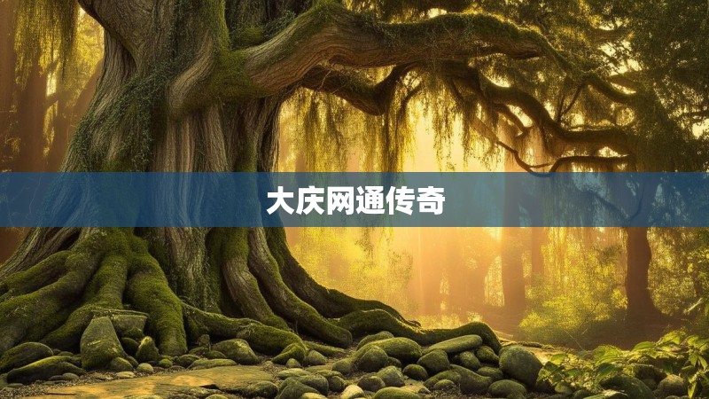 大庆网通传奇 大庆网通传奇