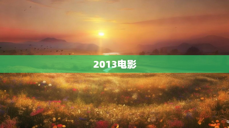 2013电影
