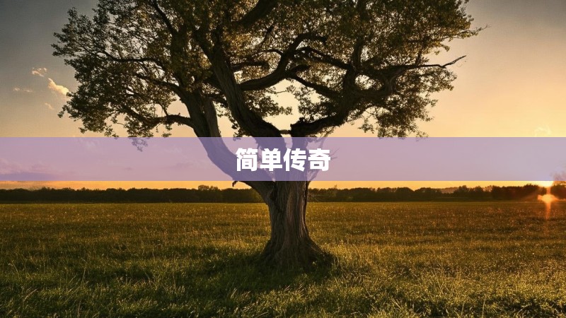 简单传奇 简单传奇