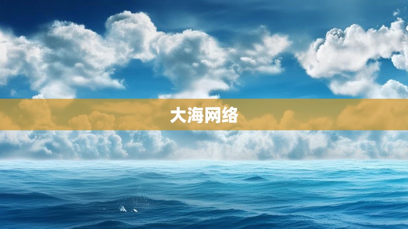 大海网络 大海网络