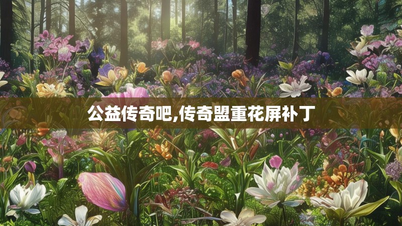 公益传奇吧,传奇盟重花屏补丁