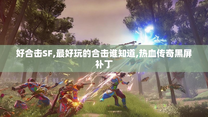 好合击SF,最好玩的合击谁知道,热血传奇黑屏补丁 好合击SF,最好玩的合击谁知道,热血传奇黑屏补丁