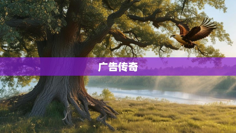 广告传奇