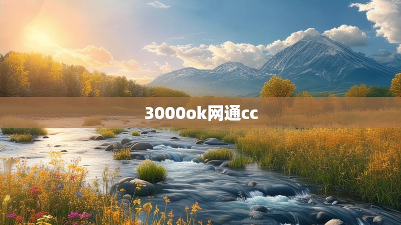 3000ok网通cc