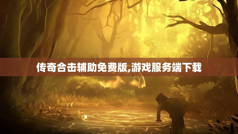 传奇合击辅助免费版,游戏服务端下载