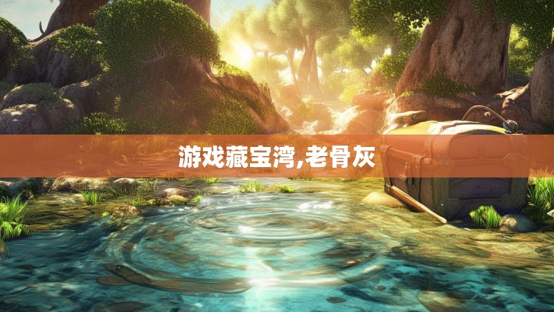 游戏藏宝湾,老骨灰