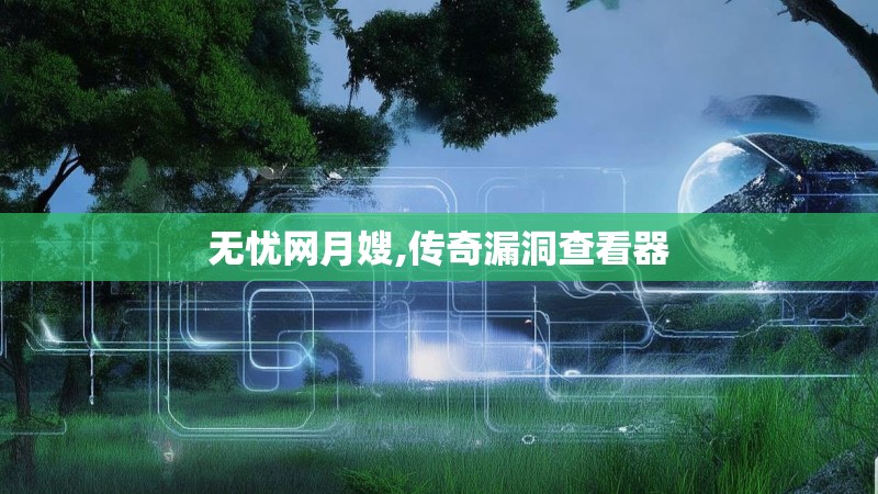 无忧网月嫂,传奇漏洞查看器