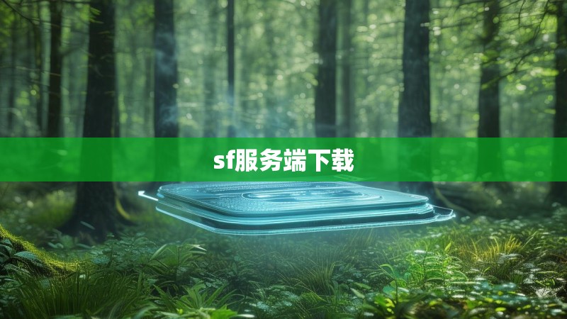 sf服务端下载