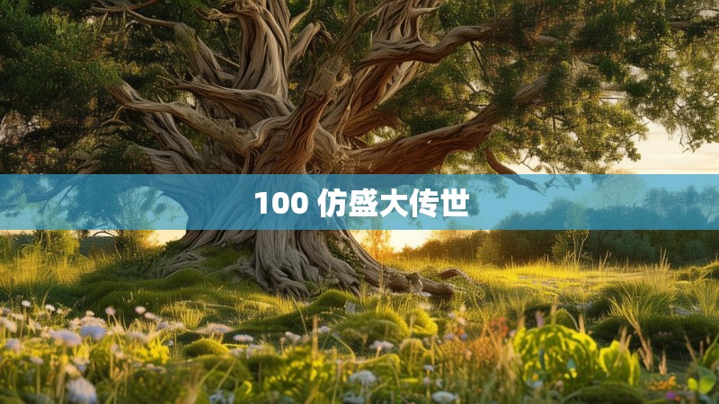 100 仿盛大传世