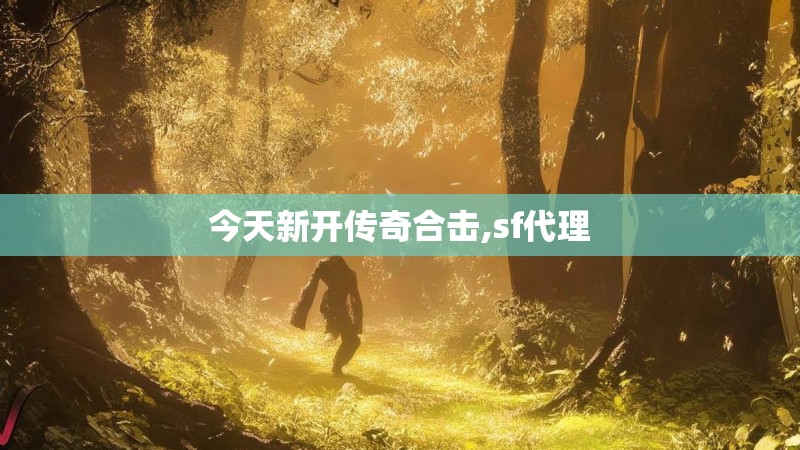今天新开传奇合击,sf代理