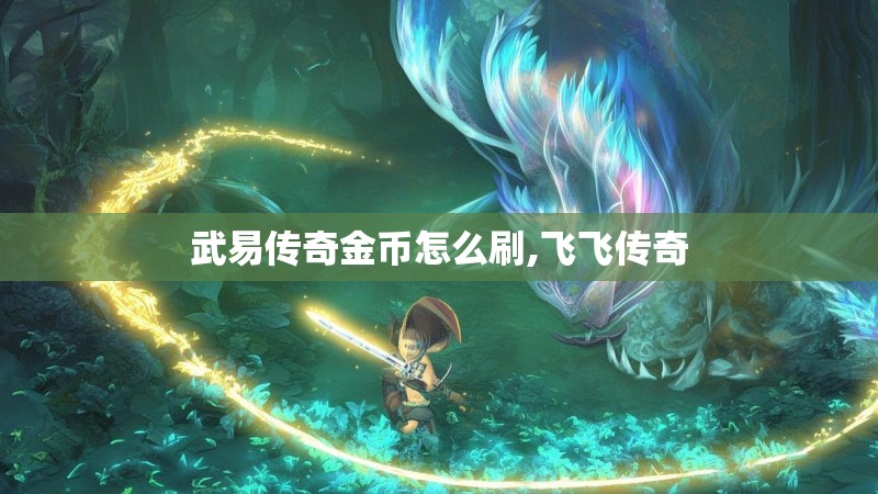 武易传奇金币怎么刷,飞飞传奇