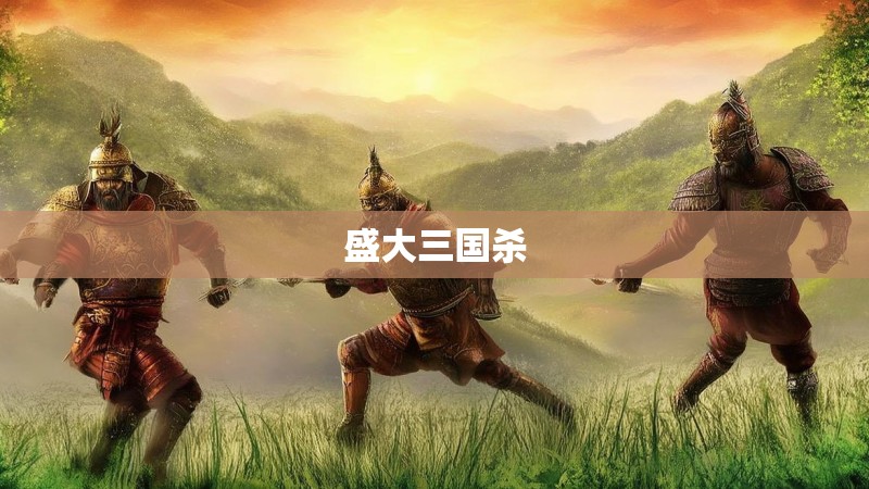 盛大三国杀