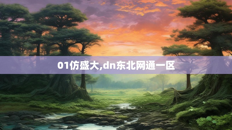 01仿盛大,dn东北网通一区