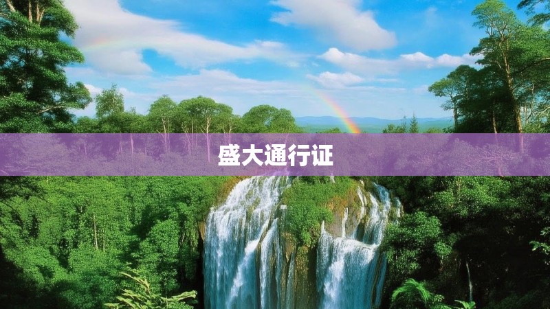 盛大通行证
