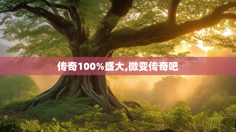 传奇100%盛大,微变传奇吧