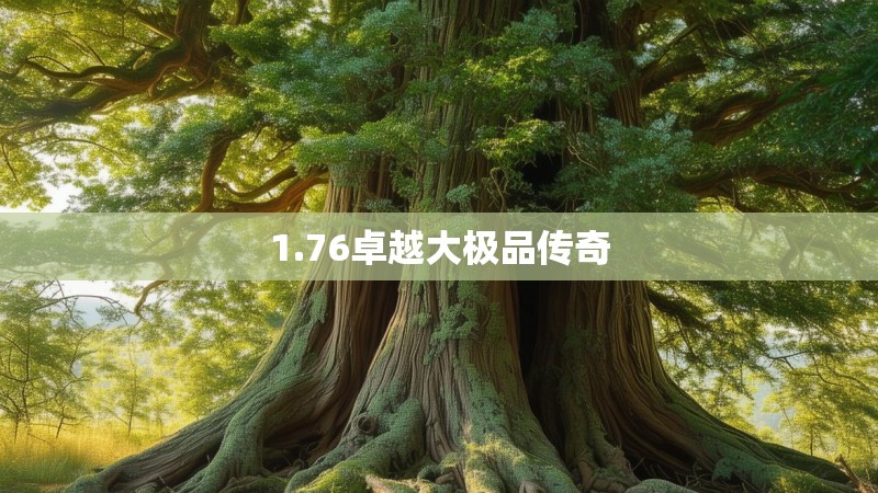 1.76卓越大极品传奇