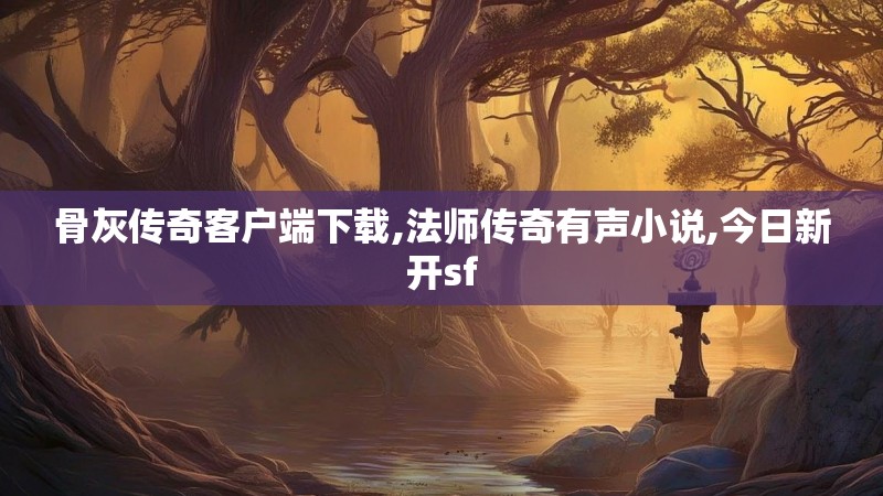 骨灰传奇客户端下载,法师传奇有声小说,今日新开sf