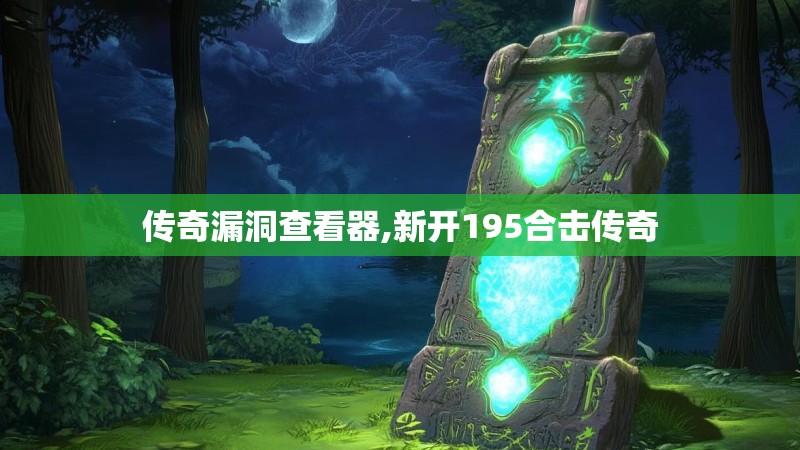 传奇漏洞查看器,新开195合击传奇