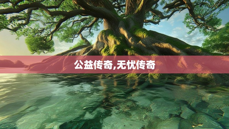 公益传奇,无忧传奇