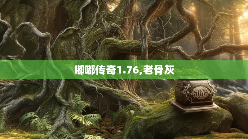 嘟嘟传奇1.76,老骨灰