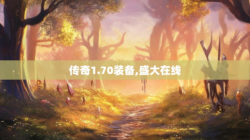传奇1.70装备,盛大在线
