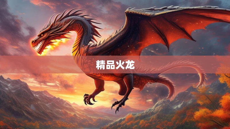 精品火龙