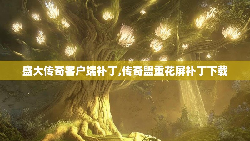 盛大传奇客户端补丁,传奇盟重花屏补丁下载