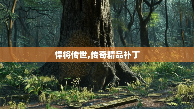 悍将传世,传奇精品补丁