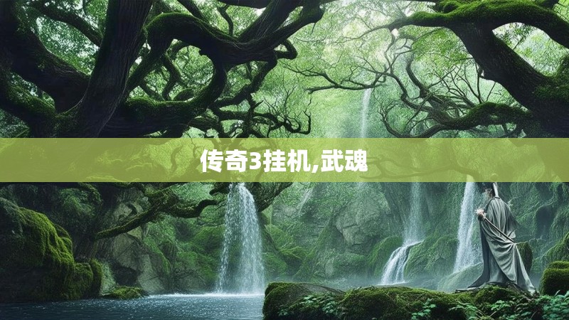 传奇3挂机,武魂