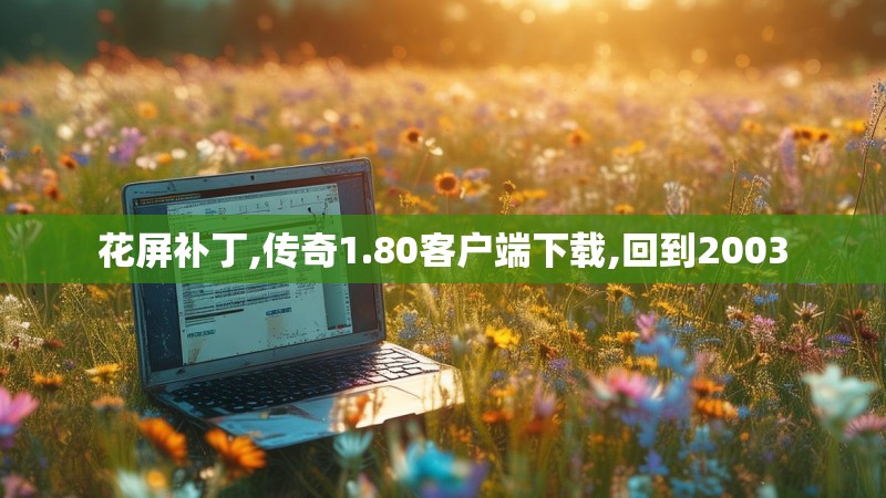 花屏补丁,传奇1.80客户端下载,回到2003
