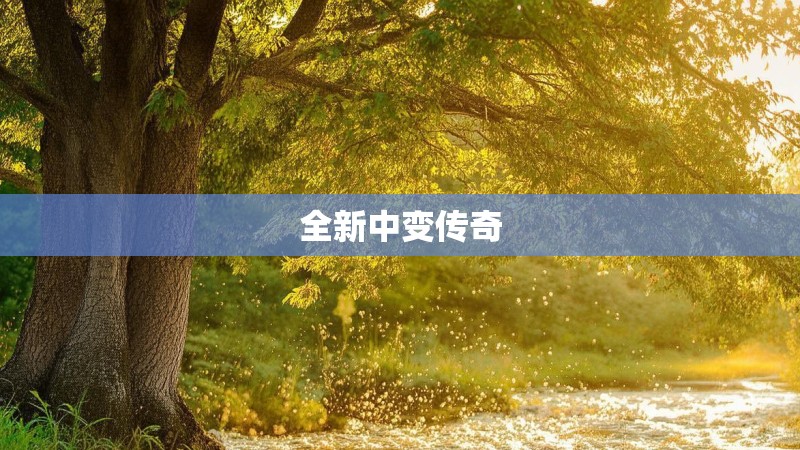 全新中变传奇