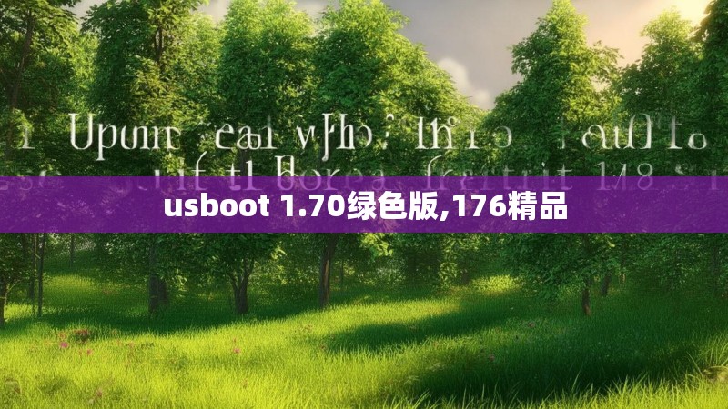 usboot 1.70绿色版,176精品