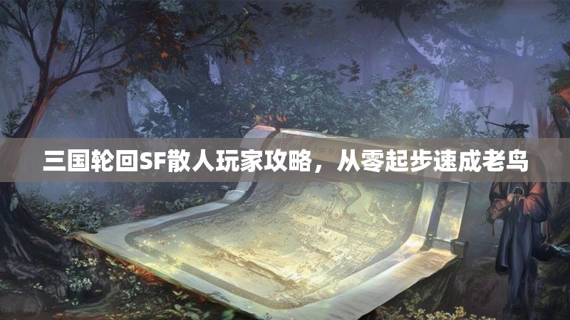三国轮回SF散人玩家攻略，从零起步速成老鸟
