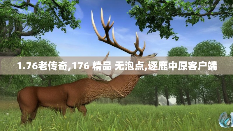 1.76老传奇,176 精品 无泡点,逐鹿中原客户端
