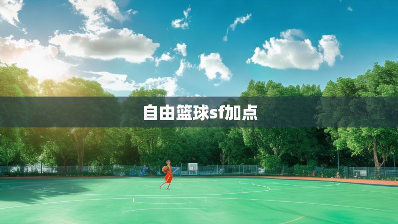自由篮球sf加点