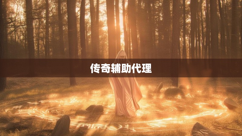 传奇辅助代理