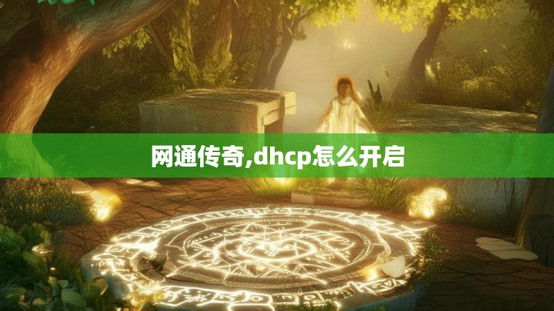 网通传奇,dhcp怎么开启 网通传奇,dhcp怎么开启