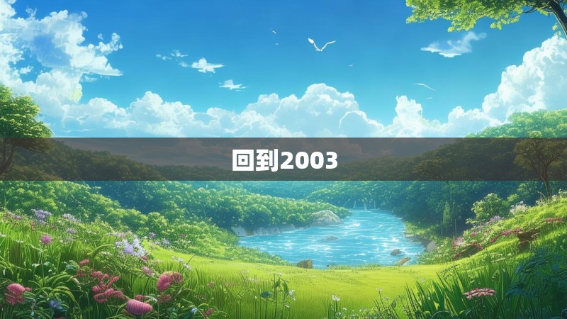回到2003